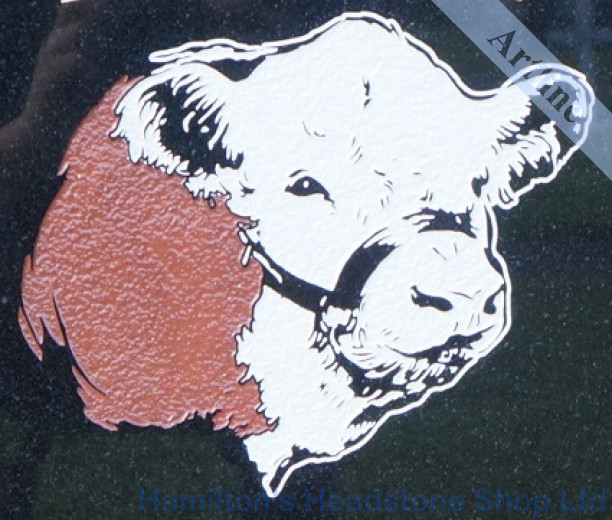 Cow engraving
